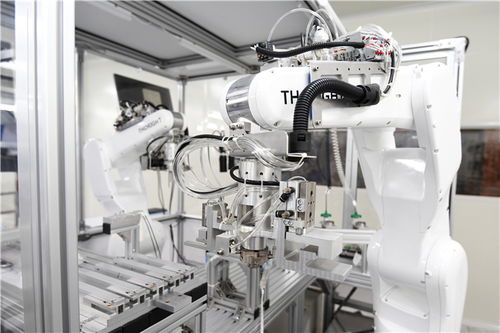 小膠囊沿西部陸海新通道遠航，數字技術賦能重慶企業造福全球